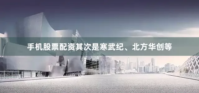 手机股票配资其次是寒武纪、北方华创等
