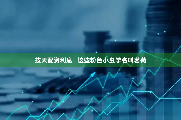 按天配资利息   这些粉色小虫学名叫茗荷
